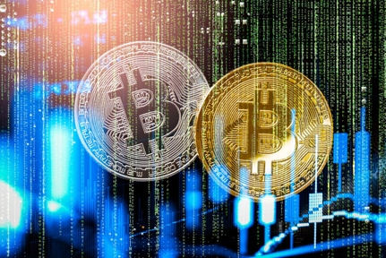 The Buzz on Why Is Crypto So Important And Should I Care?