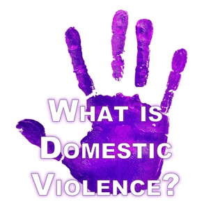 What is Domestic Violence