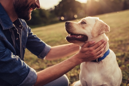 Man on a green grass with dog